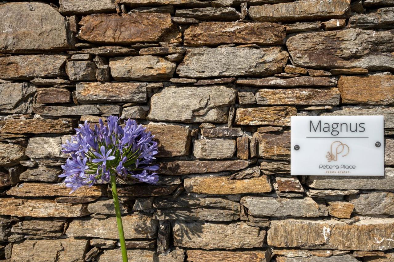 Peters Place - Paros Resort Parasporos Bagian luar foto